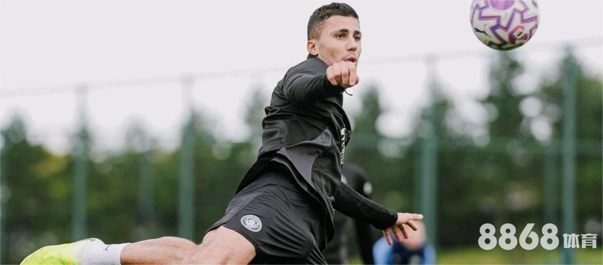 立博体育 - 悉尼FC对惠灵顿凤的比分预测